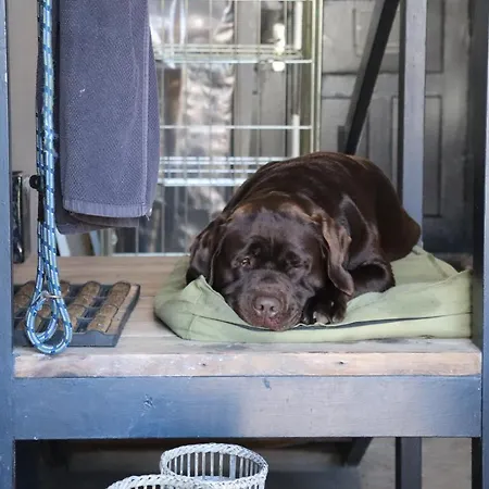 Petite Hotel Haderslev