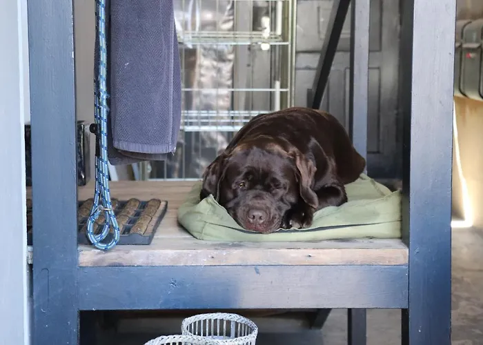 Petite Hotel Haderslev